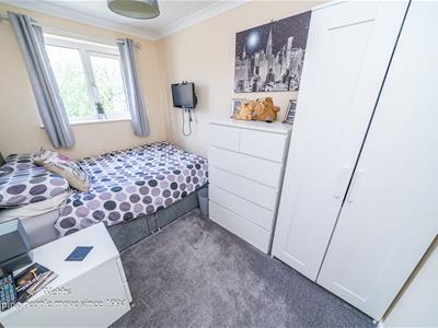Picture 15